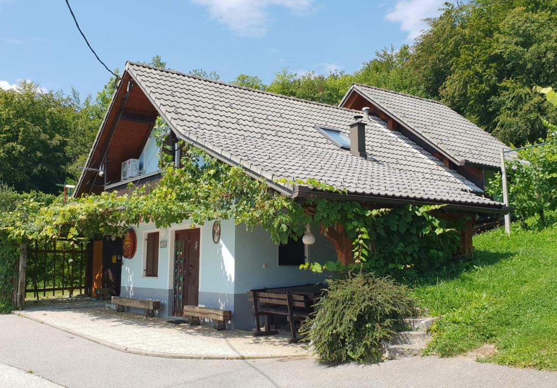 Zidanica Meglic - Vineyard Cottage Meglic Trebnje المظهر الخارجي الصورة