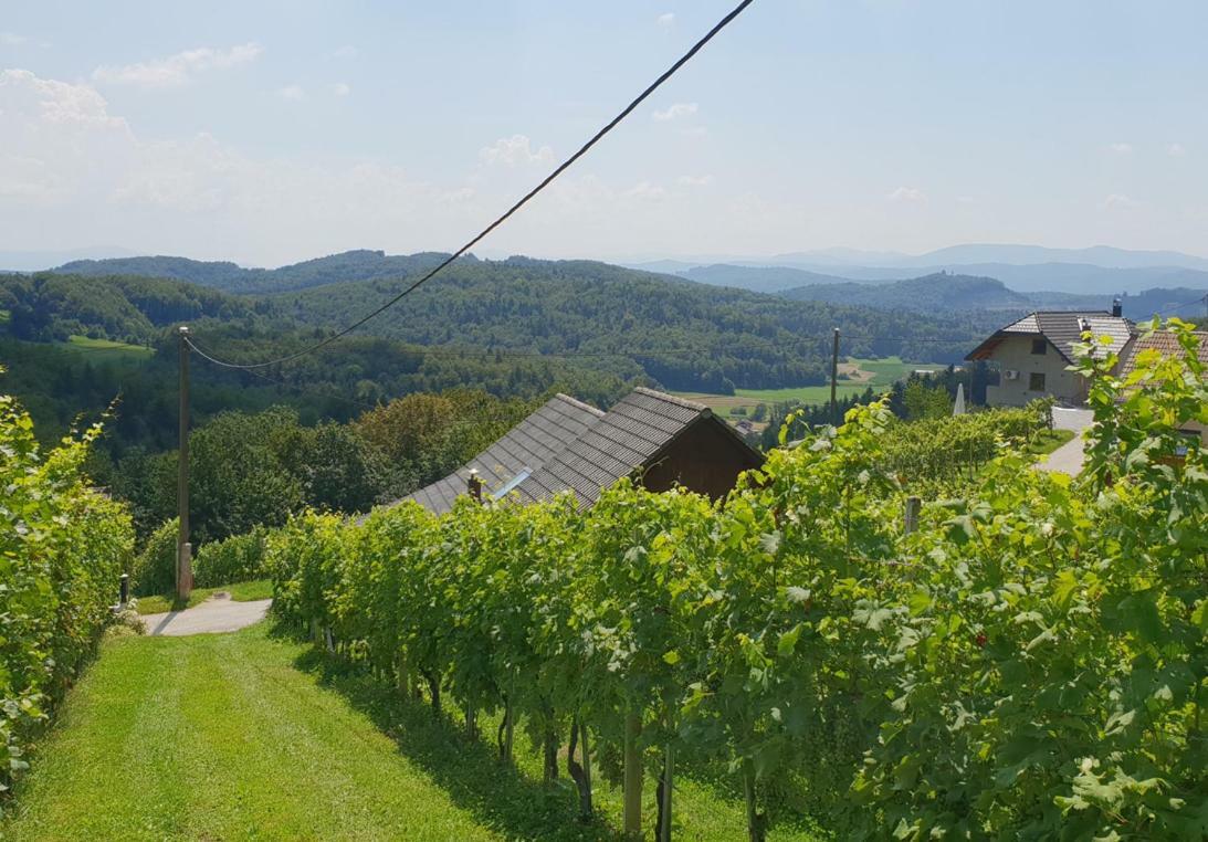 Zidanica Meglic - Vineyard Cottage Meglic Trebnje المظهر الخارجي الصورة