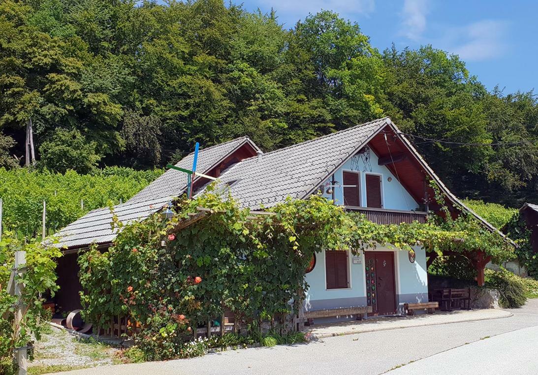 Zidanica Meglic - Vineyard Cottage Meglic Trebnje المظهر الخارجي الصورة