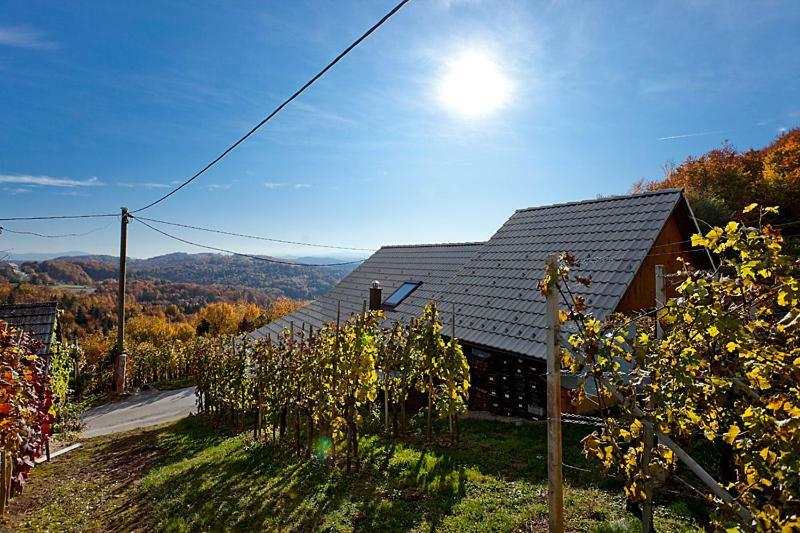 Zidanica Meglic - Vineyard Cottage Meglic Trebnje المظهر الخارجي الصورة
